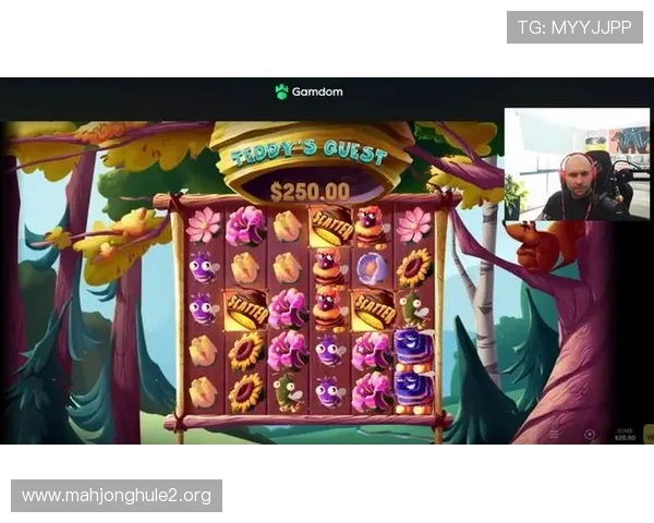 问鼎pg娱乐电子游戏携手多家知名开发商，共同打造高品质游戏体验赢得业内高度评价